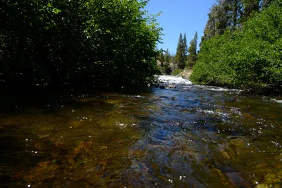 DSC_9915 (Large).JPG